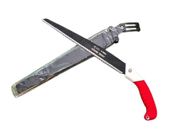 Pruning Saw