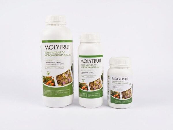 Molyfruit