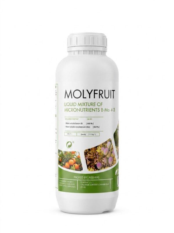 Molyfruit