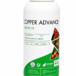 Copper Advance