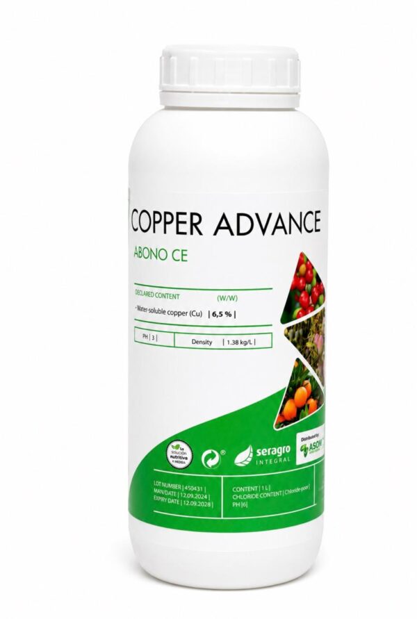 Copper Advance