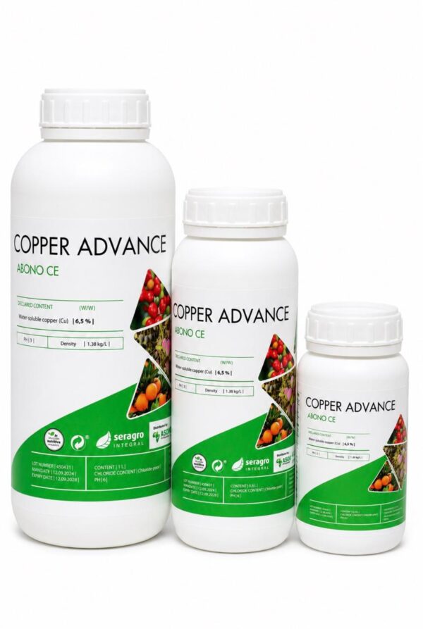 Copper Advance