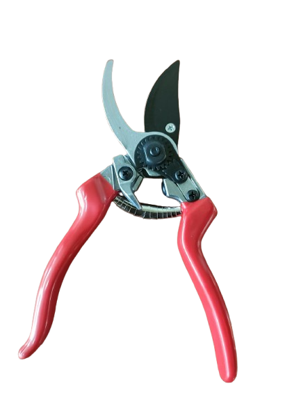 Professional Pruning Shears